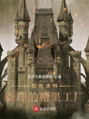  哈利波特：查理的糖果工厂