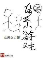  体系游戏